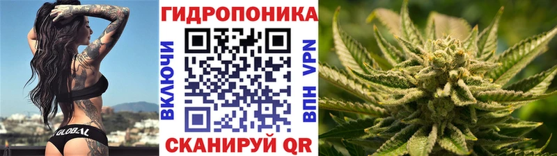 Псилоцибиновые грибы Жуковка