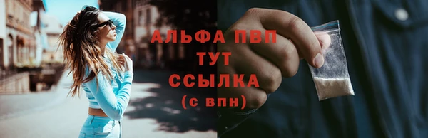 эйфоретик Беломорск