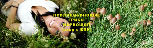 ПСИЛОЦИБИНОВЫЕ ГРИБЫ Белоозёрский